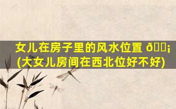 女儿在房子里的风水位置 🐡 (大女儿房间在西北位好不好)